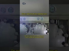 Siemens เครื่องจักรแปรรูปเมล็ดมะเขือเทศ Hydro Cyclone SS304 วัสดุ