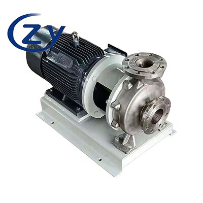 Durable Cassava  hygienic centrifugal pump : Tailored for High-Throughput Starch Production with Minimal Maintenance Requirements